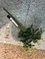 A6M, 57741, artificial flower
