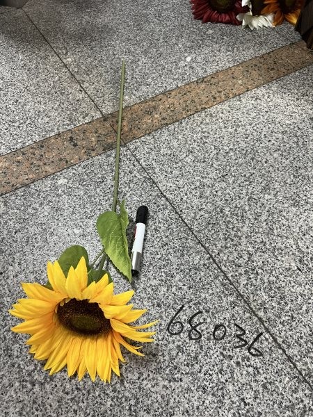 A11M, 68036, Sunflower Single Large