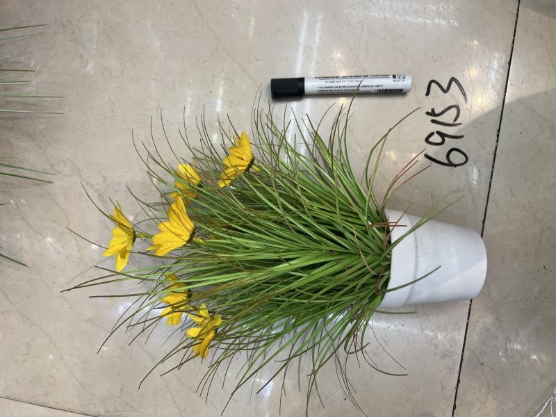 D19M, 69153, Artificial Flower Bunch Potted 34cm