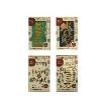 24X25, 69389 dats, Cards Xmas Box 10 115x177mm Textured Foil Botanical 