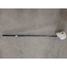 $1.5 skeleton on the stick