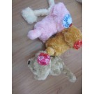 C1M,toy dog