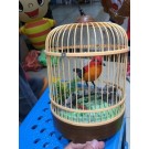 F18H, 55419, cage bird