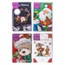 55739, Xmas Cards Box 14 115x177mm Textured Foil Cute
