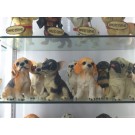 G17M, 55823, sitting dog 21cm