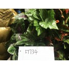 C18M, 57734, artificial flower