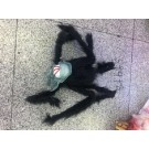 59498, Halloween skull spider 75cm