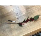 25X12 D, 66747, Xmas branch