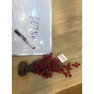 25X25, 66750, Xmas deco potted cherry 32cm