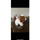 A9L, 67241, dog toy