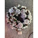 67826, Xmas Wreath Light & Battery 50cm