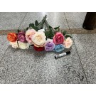 A11M, 68038, Rose Single