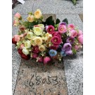 C17M, 68053, Pearl Tea Rose 10-Head