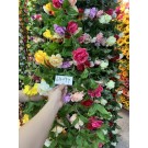 A5M, 68099 RQ-8238, Artificial Flower Rose Garland