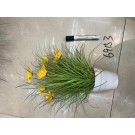 D19M, 69153, Artificial Flower Bunch Potted 34cm