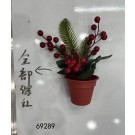 25X12, 69289, Xmas Potted Red Berry