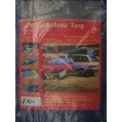 E6L, 9729, 8*10 Polyethylene Tarp