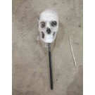 LARGE SKULL HEAD ON 50CM PLAS STICK