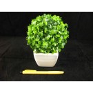 artifical plant