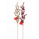 BERRY RED/MULTI SPRAY 80cm