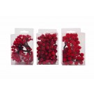  MINI BERRY BUNCHES 3ASST 2PK 