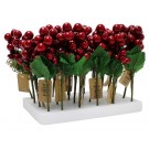 24X22, XB0026, GLOSS BERRIES PICK 20cm