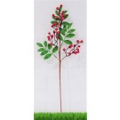 20X7, XB2859, BERRY & EUCALYPTUS LEAVES SPRAY