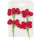 X5 X11, XB2887, CRANBERRY STEMS 4pk