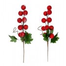 24X14, XD3724, APPLEBERRY PICK 36cm Asst