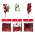24X16, XD3732, BERRY PICK 5pk 17cm Asst 