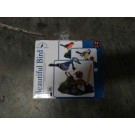 F6L, *SINGING MOTION BIRD 2 ASSTD